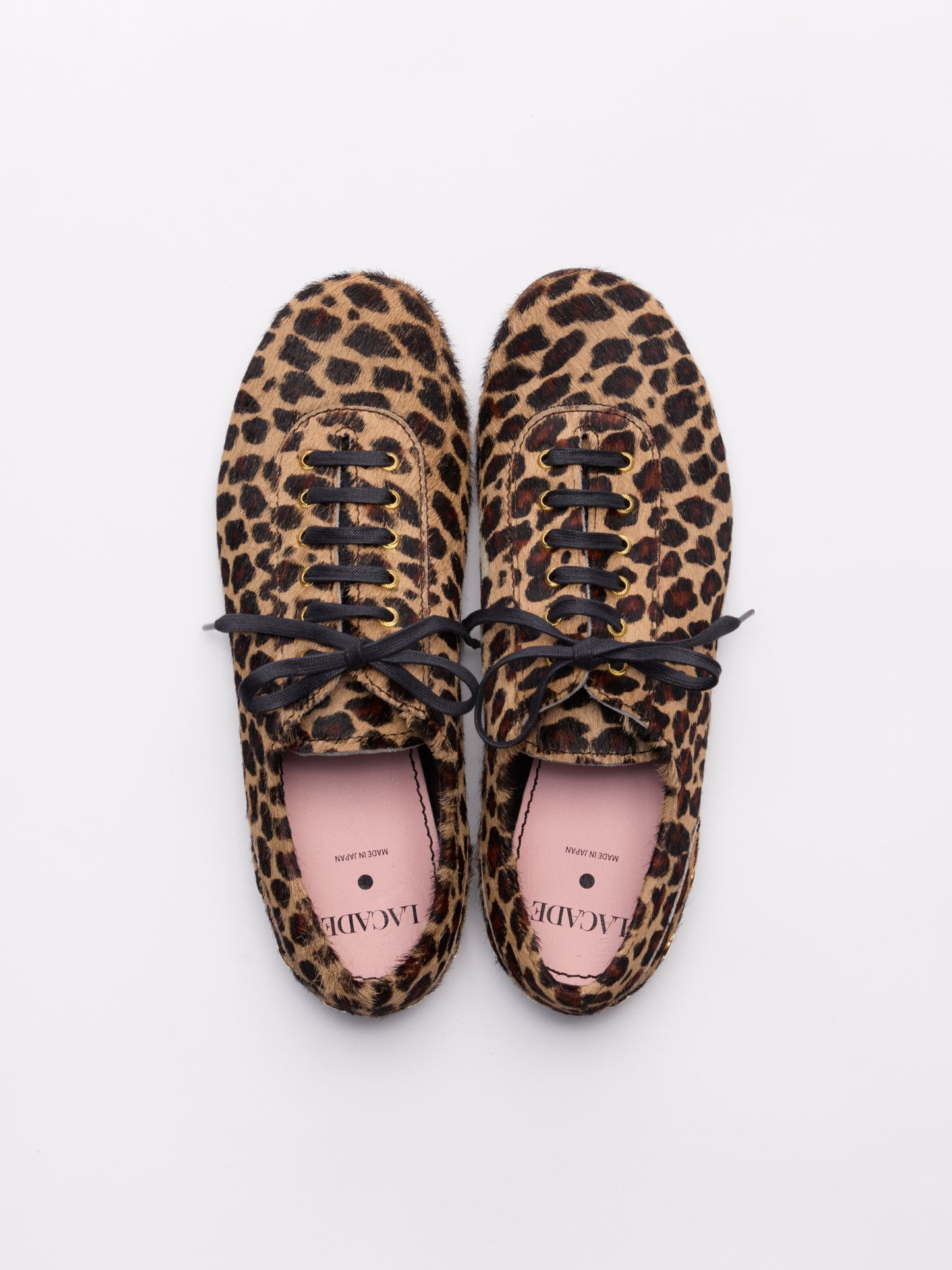 RENJI / STUDS | Leo