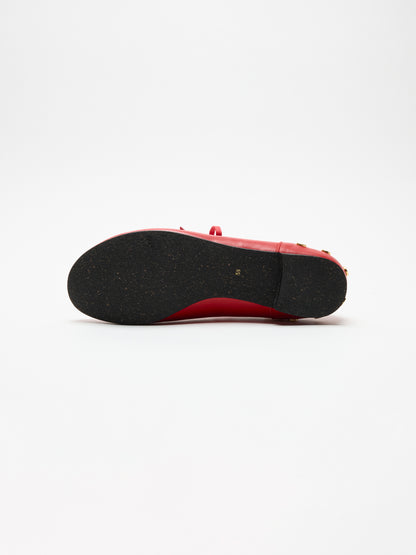 RENJI / STUDS | Red parrot